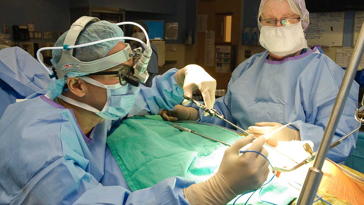 Cardiovascular Surgery Residency Program Cardiovascular Surgery Residency Program